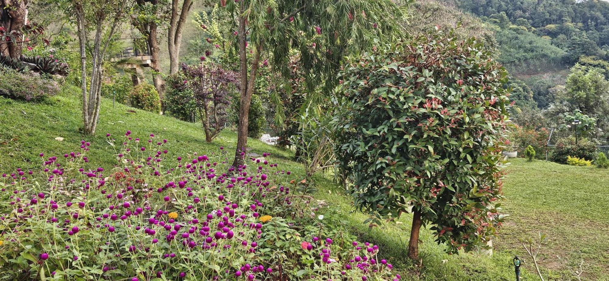 Sithara Estate Bungalow Procida Dış mekan fotoğraf